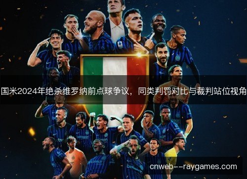 国米2024年绝杀维罗纳前点球争议，同类判罚对比与裁判站位视角